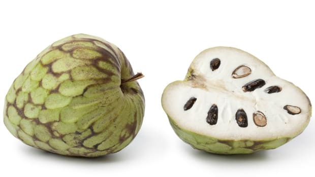 what is a cherimoya