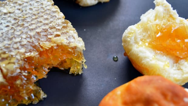 bee bread honeycomb