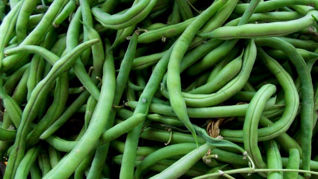 DILLY BEANS