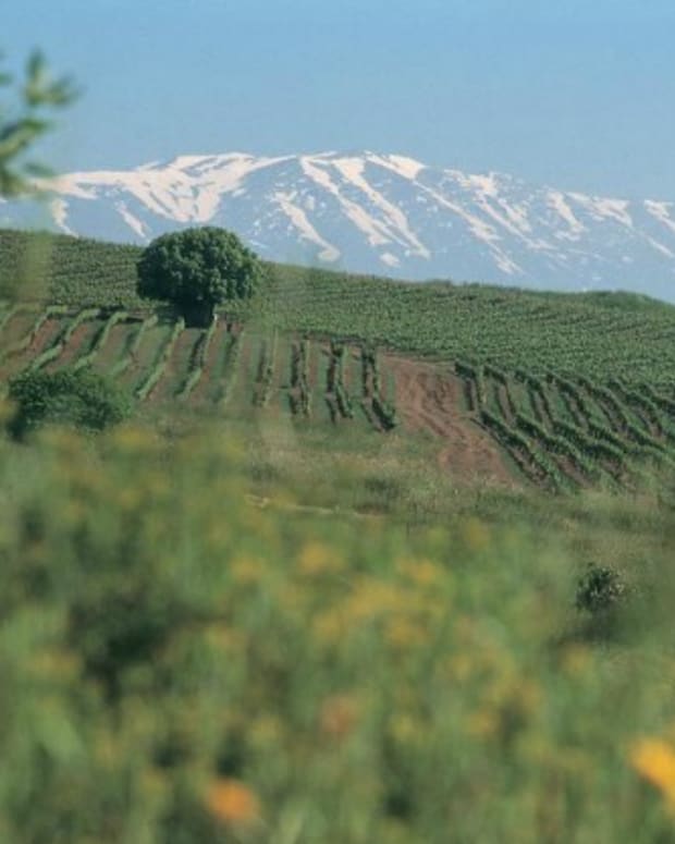 golan heights winery