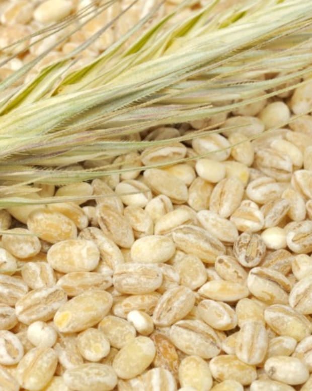pearled barley