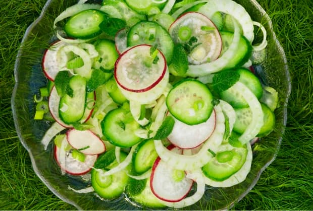 Fennel And Cucumber Salad Jamie Geller