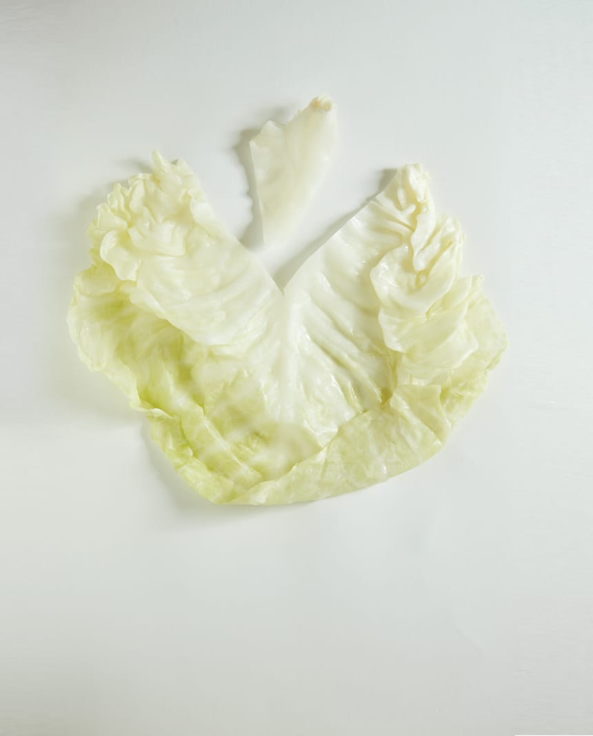 How To Stuff Cabbage Step By Step Instructions Jamie Geller 5028