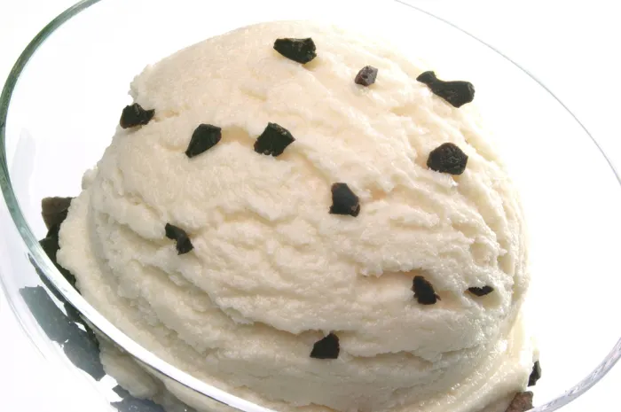 PAREVE (DAIRY FREE) COCONUT ICE CREAM