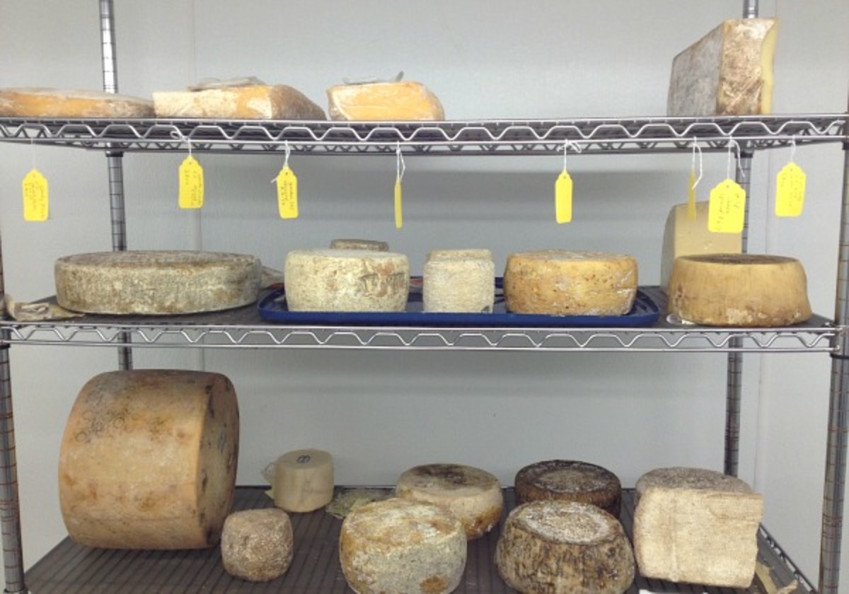 the cheese guy cave
