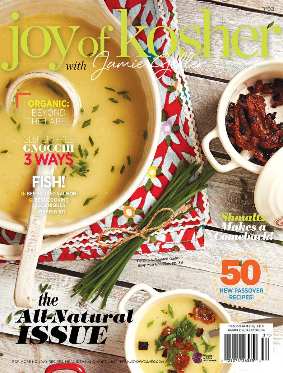 magazine cover pesach 2013