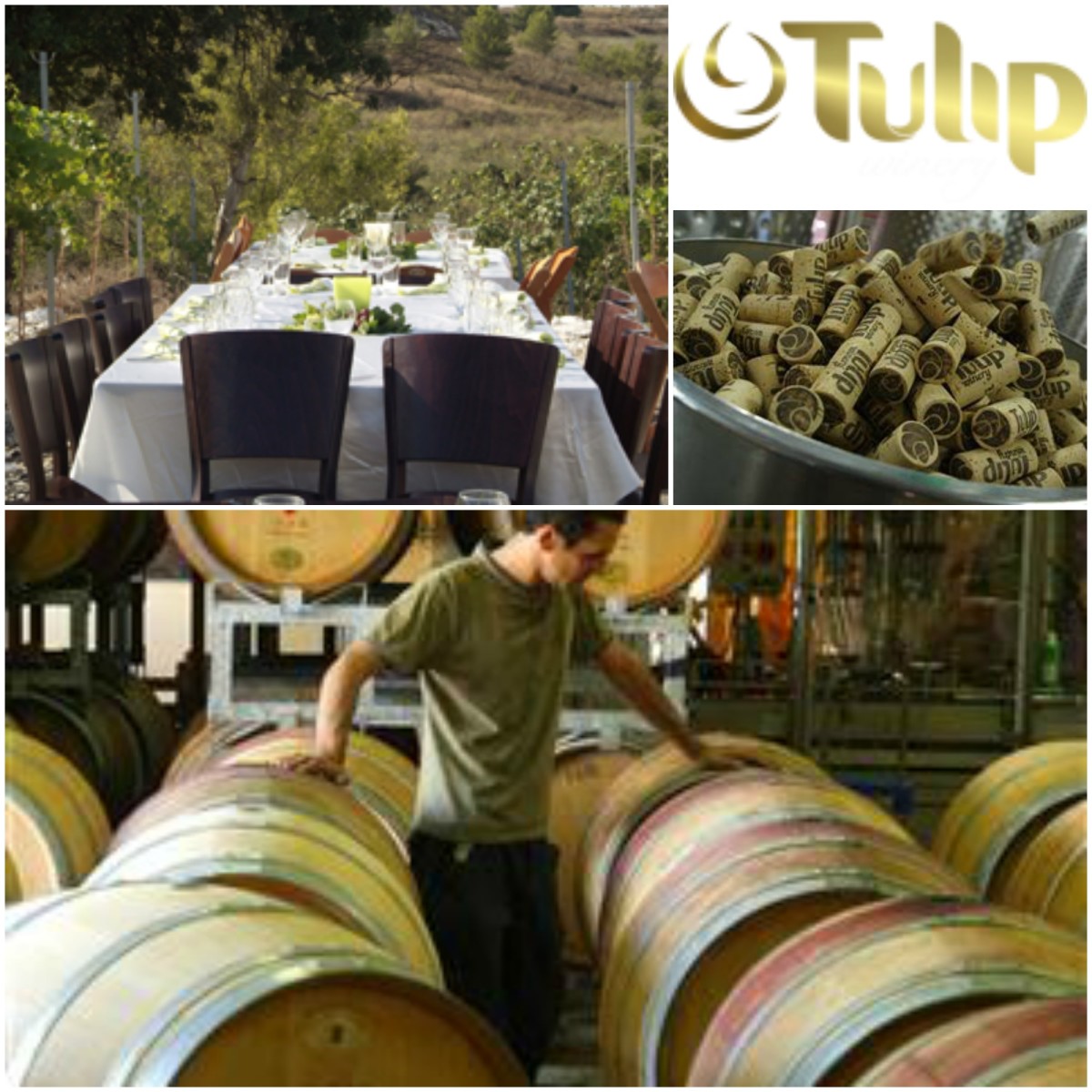 tulip winery collage