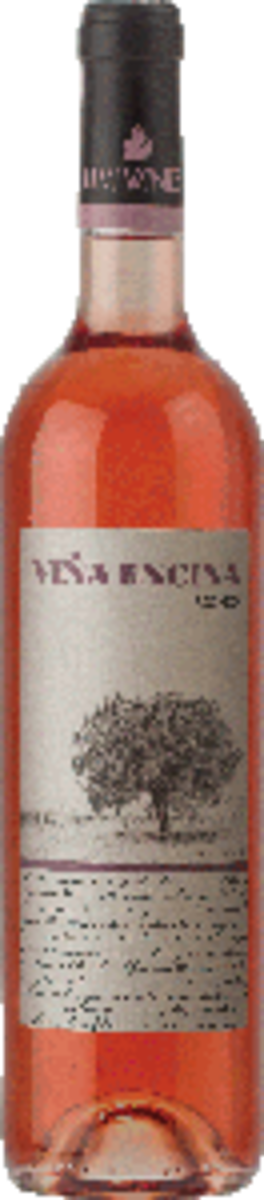 This Spanish rosé wine pairs brilliantly with fruits and soft cheeses. 
