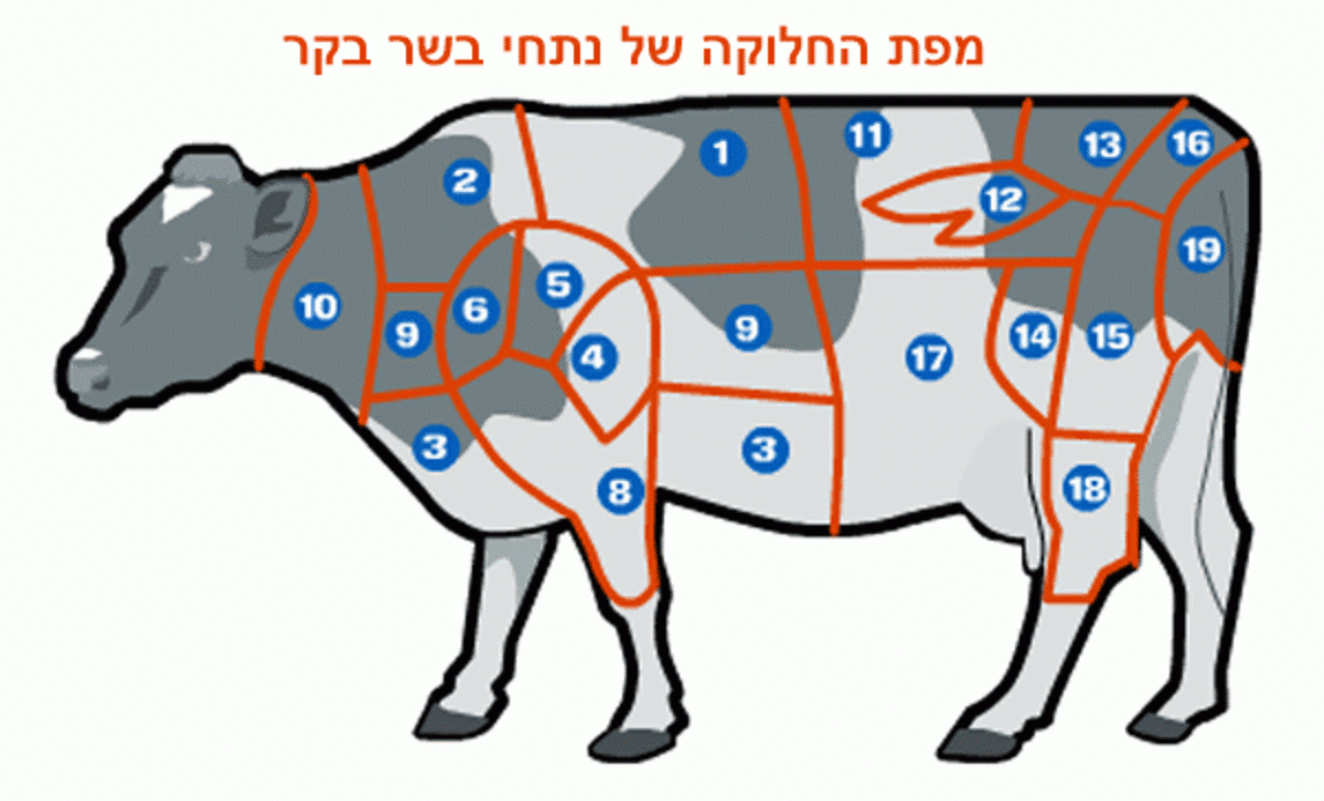 israel beef number chart