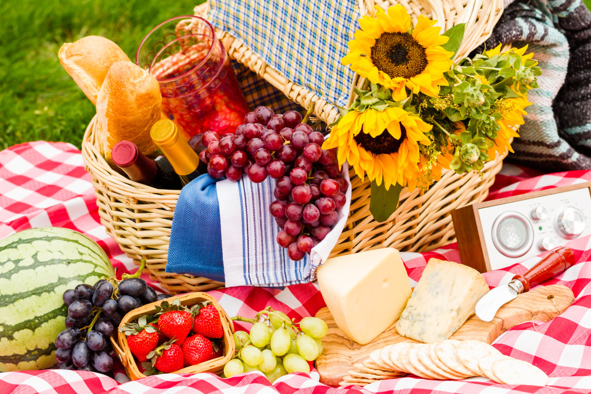 the best picnic have you ever had essay