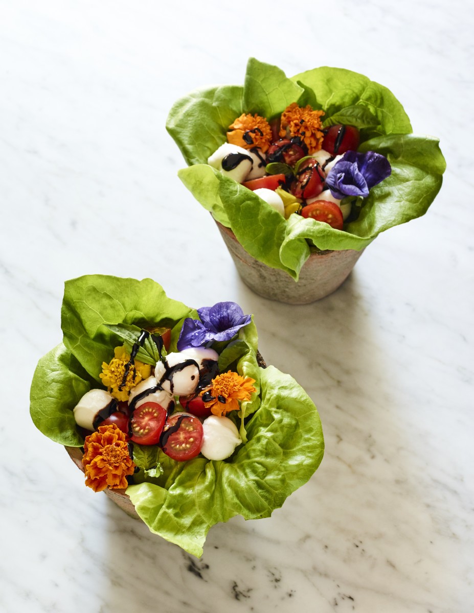 edible garden bowls