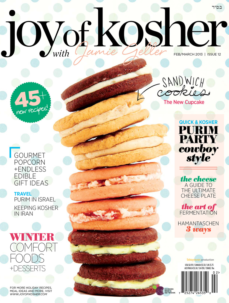 Purim 2013 Mag Cover Quality image