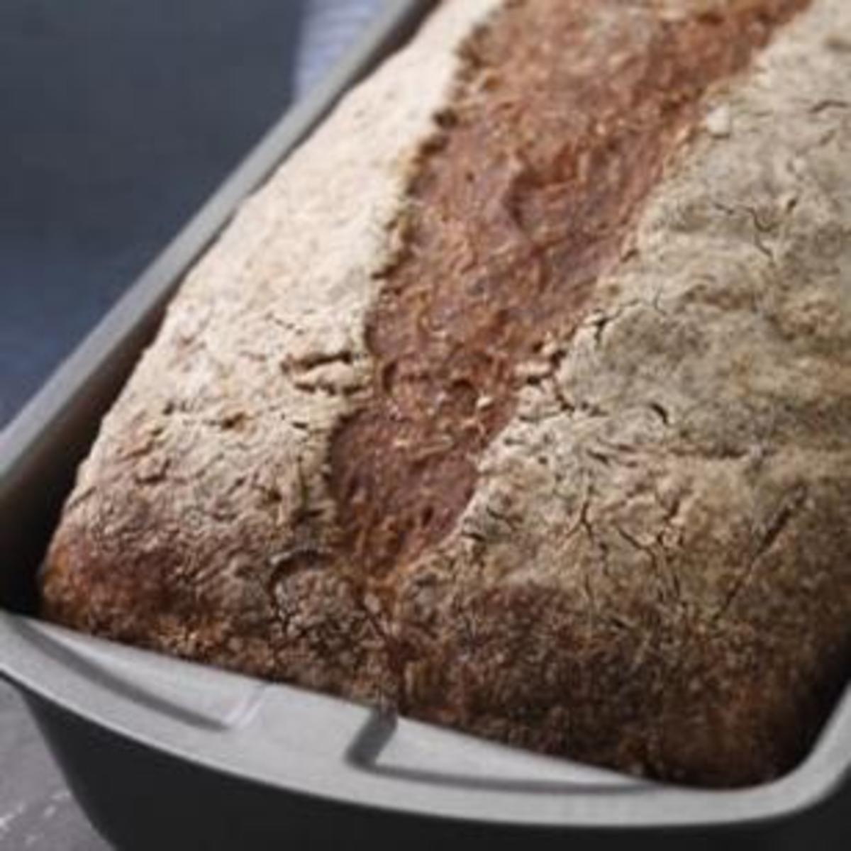Everyday-Whole-Wheat-Bread