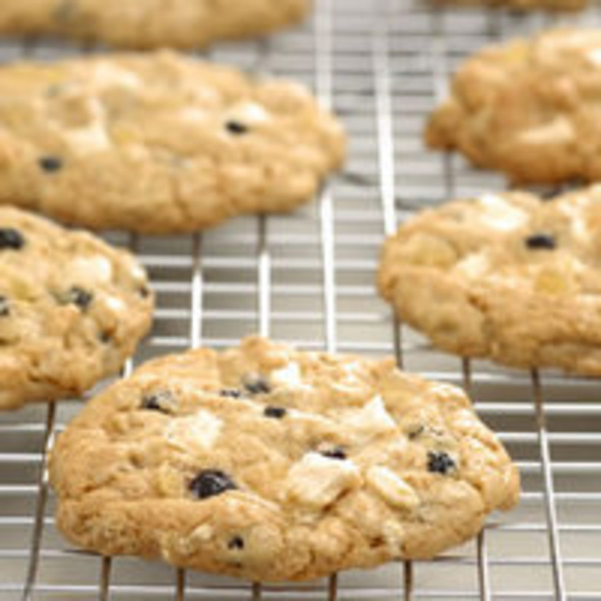 Blueberry & White Chocolate Chunk Ginger Cookies