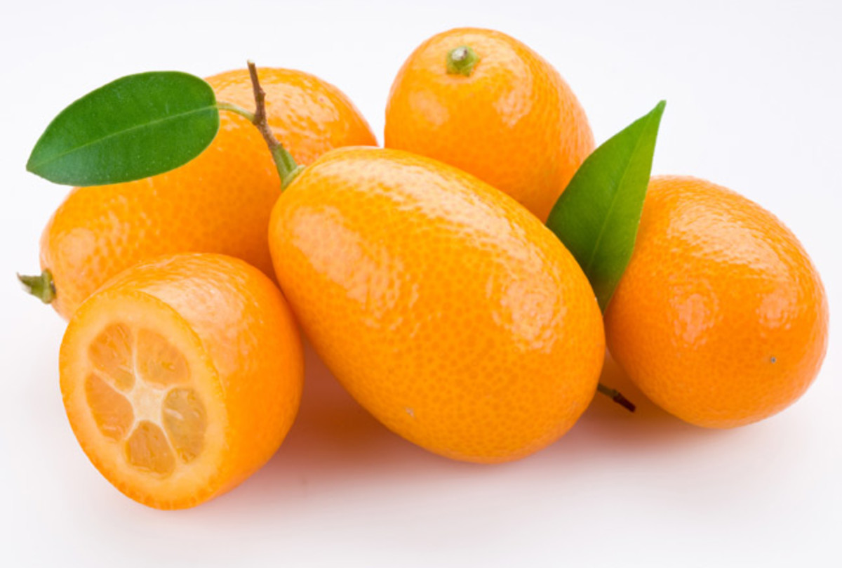 Candied Kumquats