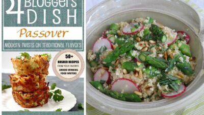 4 bloggers dish ecookbook