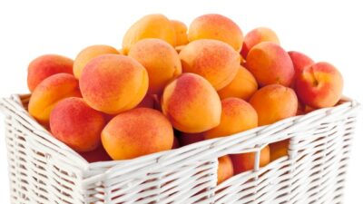 apricot