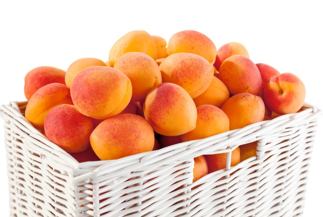 apricot