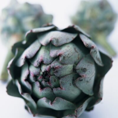 artichoke1