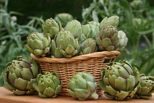 artichokes