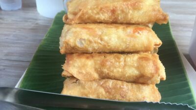 bali spring rolls DIY