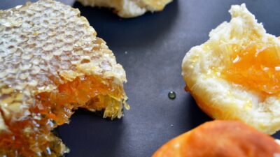 bee bread honeycomb
