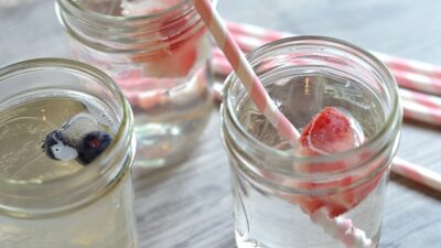 Berry Flavored Ice Cubes
