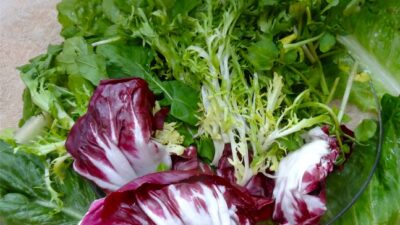bitter greens 2