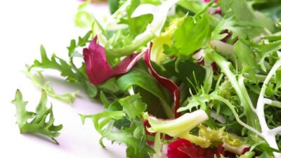 bitter greens salad