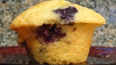 blueberry muffin