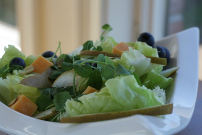 boston lettuce and cheese salad