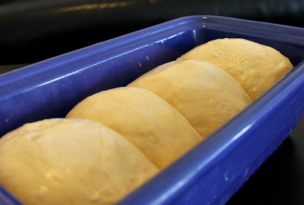 Brioche rising