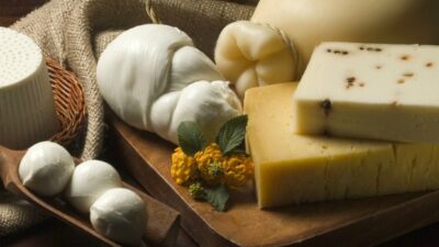 cheeses