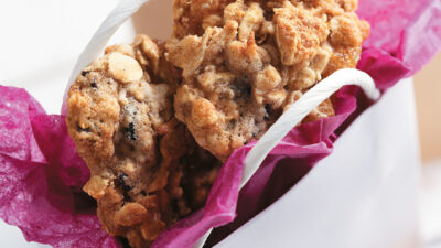 Chewy Cinnamon Oat Cookie