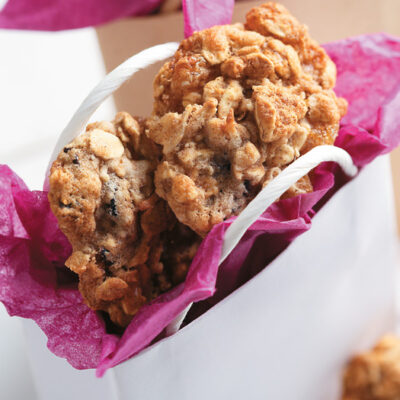 Chewy Cinnamon Oat Cookie