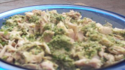 Chicken Salad with Walnut Rosemary Pesto