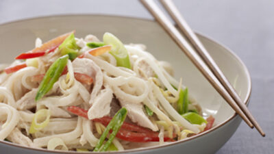 Chilled Chicken Noodle Salad