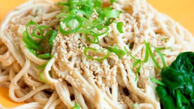 chilled soba noodles eden