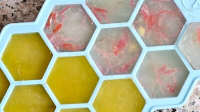 Citrus Flavored Ice Cubes