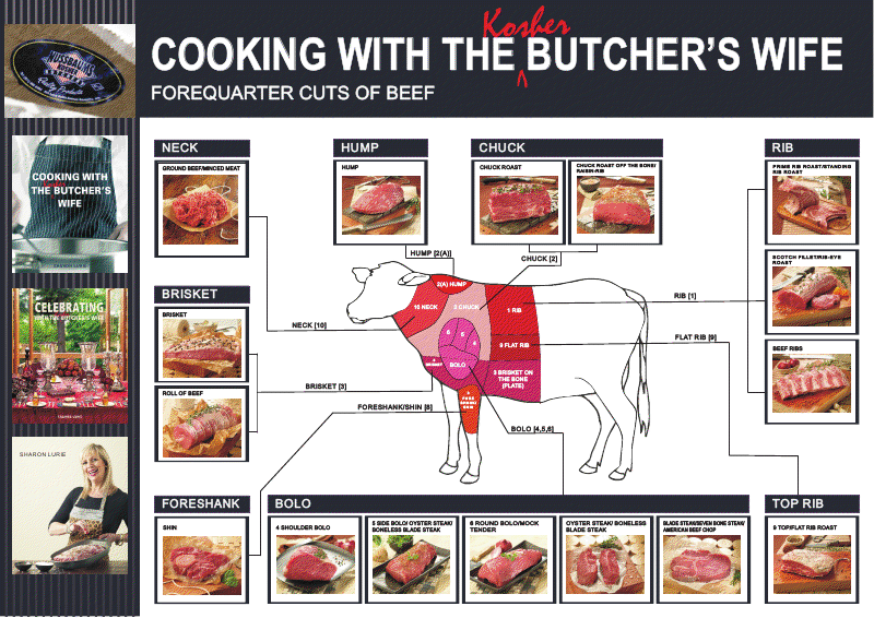 cow forequarter