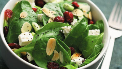 Cranberry Spinach Salad with Poppy Seed Dressing