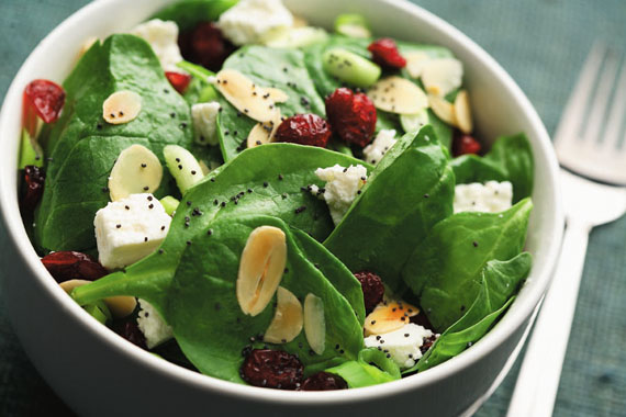 Cranberry Spinach Salad with Poppy Seed Dressing