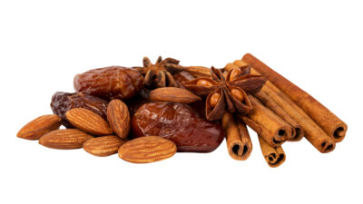 date nut and cinnamon squares.jpg