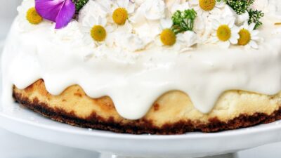 Decadent Cheese Cake