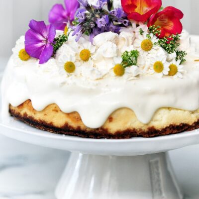 Decadent Cheese Cake