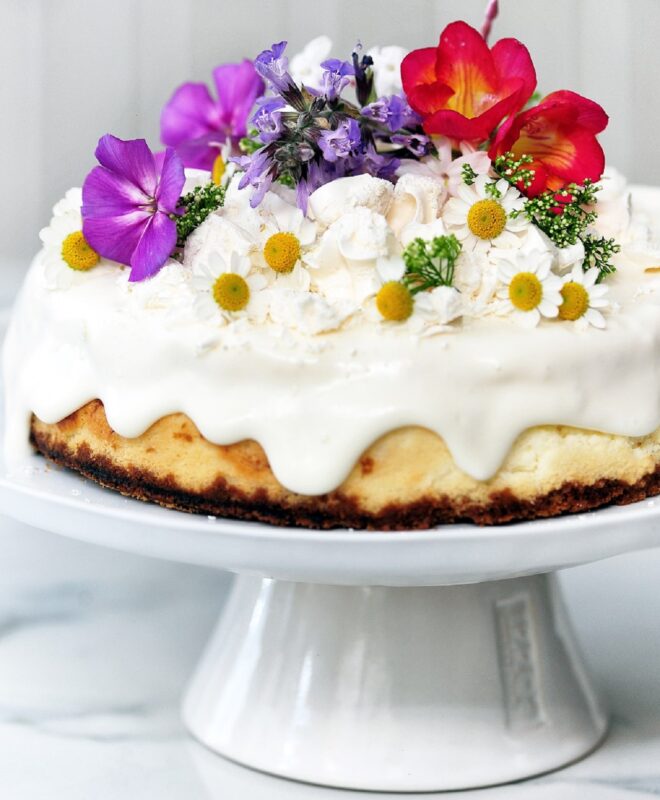 Decadent Cheese Cake