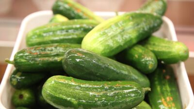 Kosher Pickles