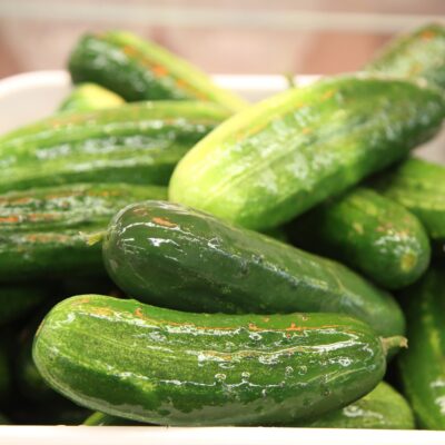 Kosher Pickles