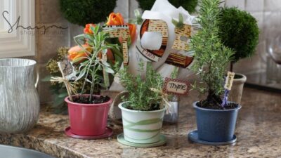 diy herb garden