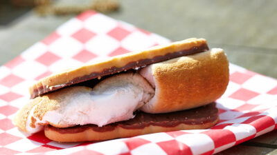 double chocolate smores